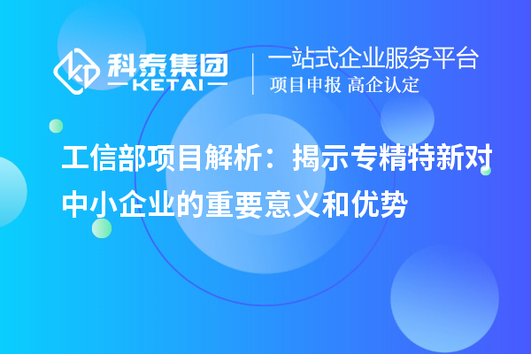 工信部项目解析：揭示专精特新对中小企业的重要意义和优势