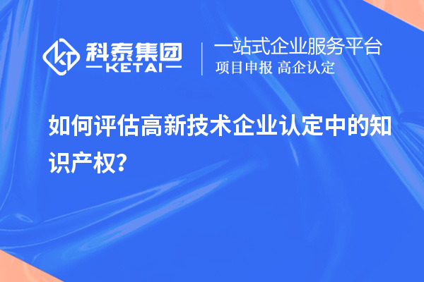 如何评估
中的知识产权？