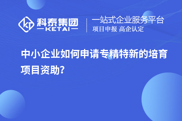 中小企业如何申请专精特新的培育项目资助？