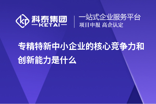 专精特新中小企业的核心竞争力和创新能力是什么