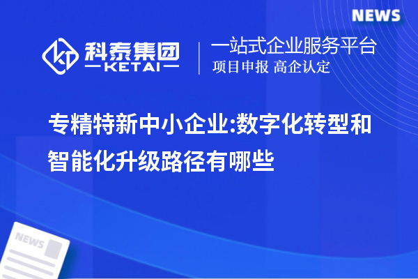 专精特新中小企业:数字化转型和智能化升级路径有哪些