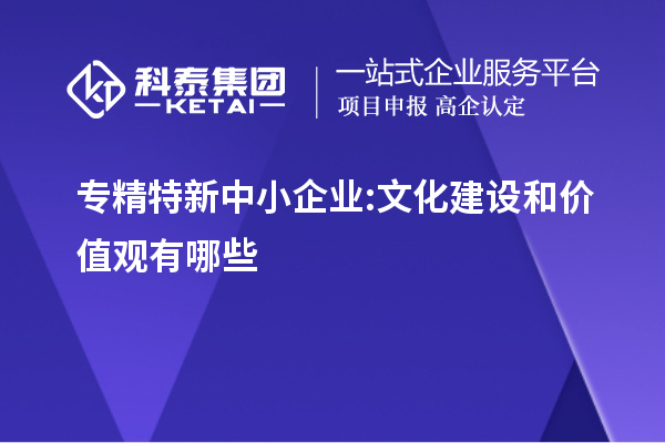 专精特新中小企业:文化建设和价值观有哪些