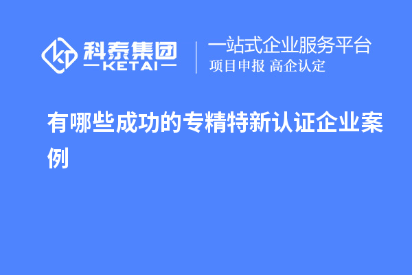 有哪些成功的专精特新认证企业案例