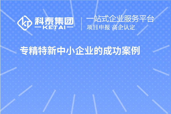 专精特新中小企业的成功案例