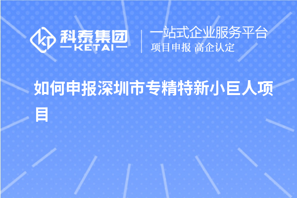 如何申报深圳市专精特新小巨人项目