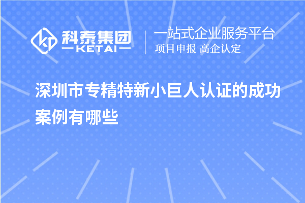 深圳市专精特新小巨人认证的成功案例有哪些