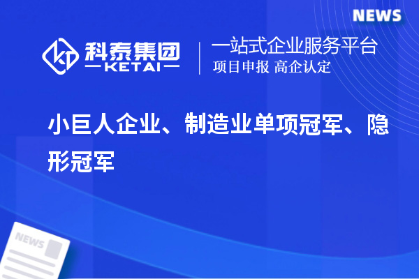 小巨人企业、制造业单项冠军、隐形冠军