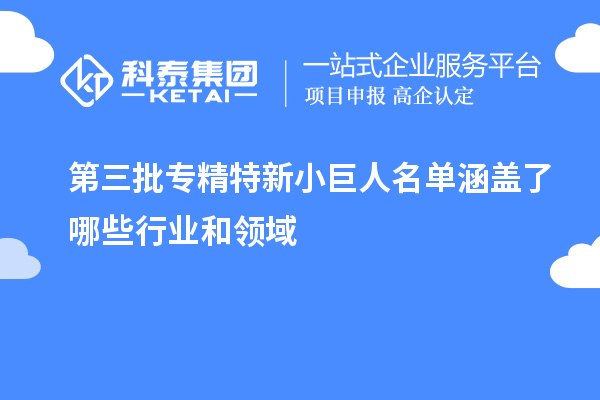 第三批专精特新小巨人名单涵盖了哪些行业和领域