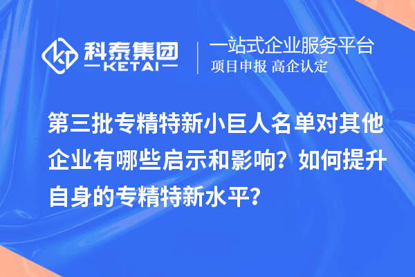 第三批专精特新小巨人名单对其他企业有哪些启示和影响？如何提升自身的专精特新水平？