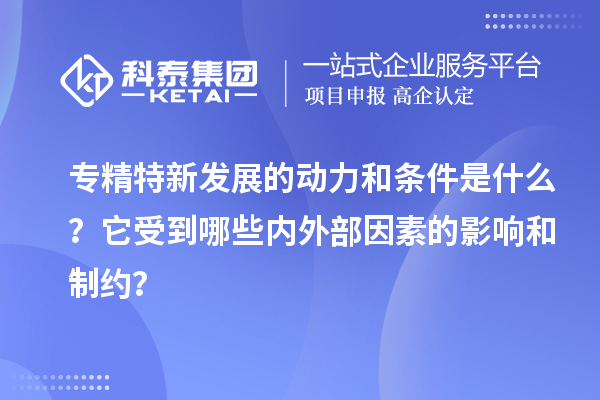 专精特新发展的动力和条件是什么？它受到哪些内外部因素的影响和制约？