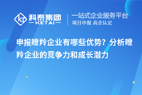 申报瞪羚企业有哪些优势？分析瞪羚企业的竞争力和成长潜力