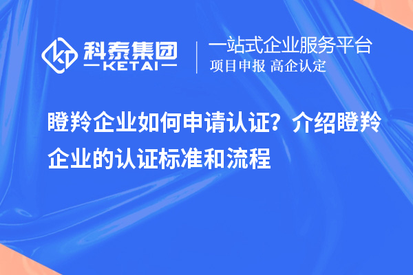 瞪羚企业如何申请认证？介绍瞪羚企业的认证标准和流程