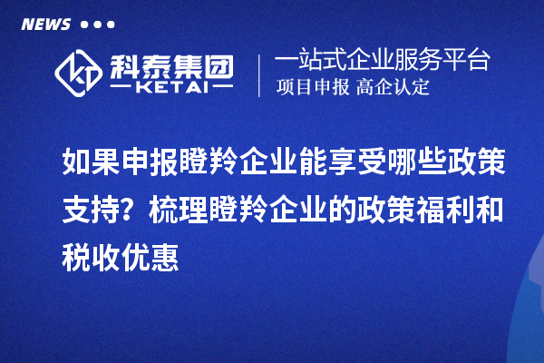 如果申报瞪羚企业能享受哪些政策支持？梳理瞪羚企业的政策福利和税收优惠