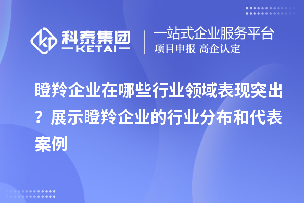 瞪羚企业在哪些行业领域表现突出？展示瞪羚企业的行业分布和代表案例