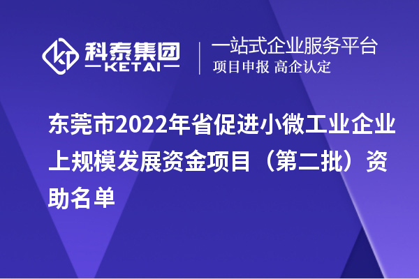 东莞市2022年省促进小微工业企业上规模发展资金项目（第二批）资助名单