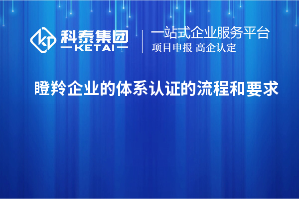 瞪羚企业的体系认证的流程和要求