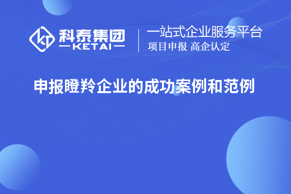 申报瞪羚企业的成功案例和范例