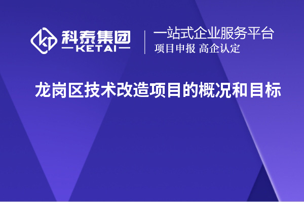 龙岗区技术改造项目的概况和目标