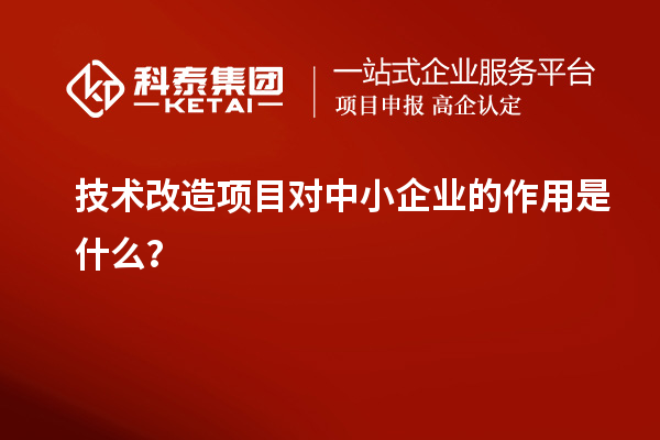 技术改造项目对中小企业的作用是什么？