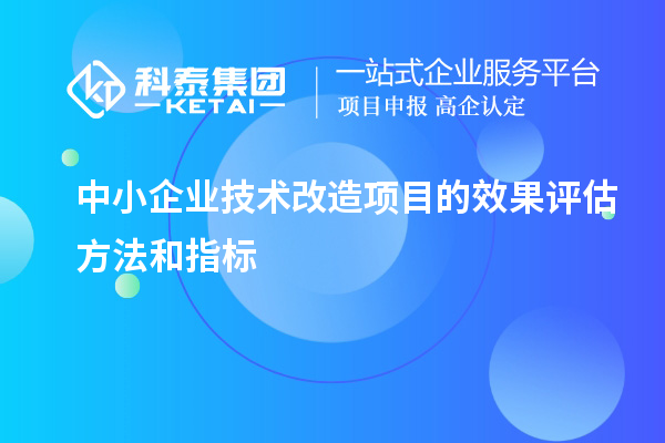 中小企业技术改造项目的效果评估方法和指标