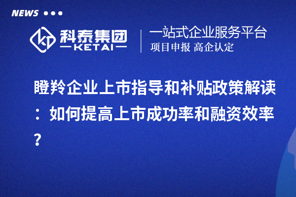 瞪羚企业上市指导和补贴政策解读：如何提高上市成功率和融资效率？