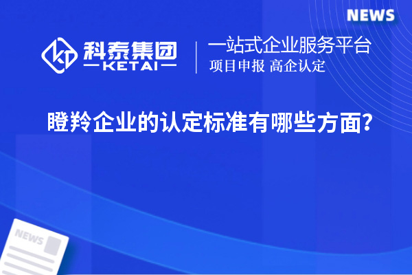 瞪羚企业的认定标准有哪些方面？