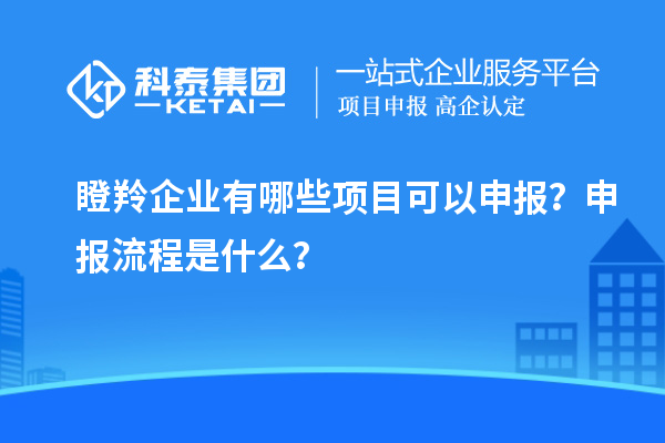 瞪羚企业有哪些项目可以申报？申报流程是什么？