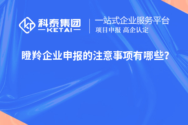 瞪羚企业申报的注意事项有哪些？