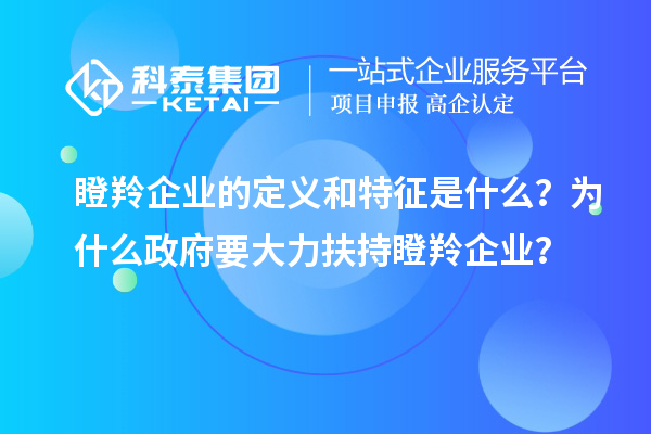 瞪羚企业的定义和特征是什么？为什么政府要大力扶持瞪羚企业？