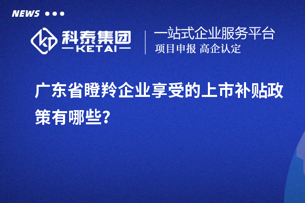 广东省瞪羚企业享受的上市补贴政策有哪些？