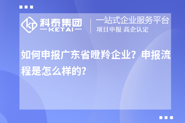 如何申报广东省瞪羚企业？申报流程是怎么样的？