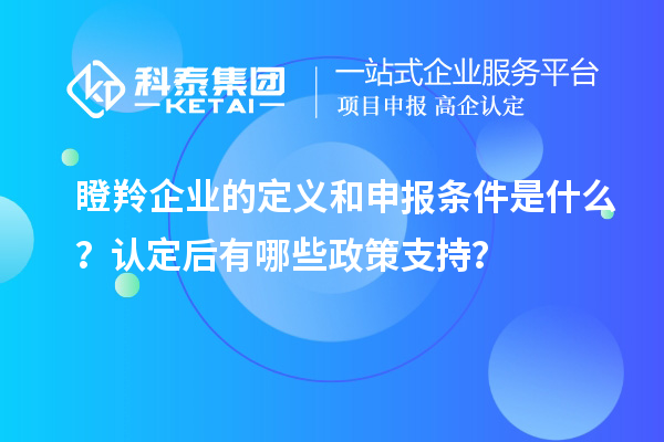 瞪羚企业的定义和申报条件是什么？认定后有哪些政策支持？