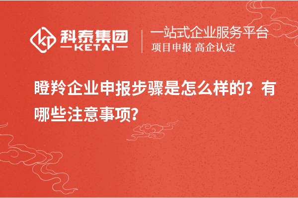 瞪羚企业申报步骤是怎么样的？有哪些注意事项？