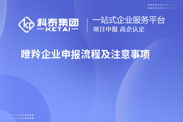 瞪羚企业申报流程及注意事项