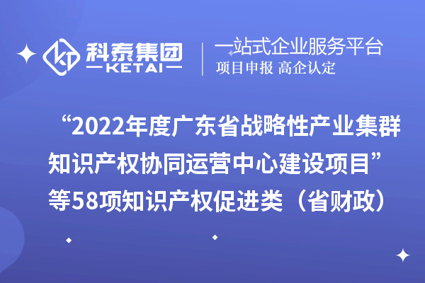 “2022年度广东省战略性产业集群知识产权协同运营中心建设项目”等58项知识产权促进类（省财政）项目验收结果