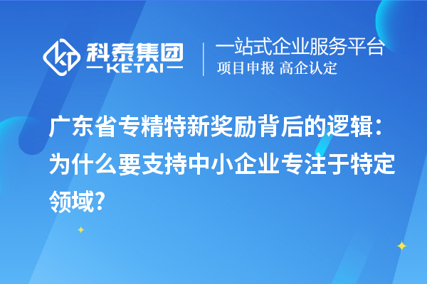 广东省专精特新奖励背后的逻辑：为什么要支持中小企业专注于特定领域?