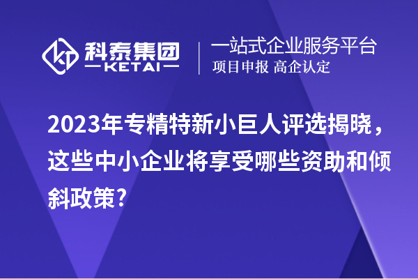 2023年专精特新小巨人评选揭晓，这些中小企业将享受哪些资助和倾斜政策?