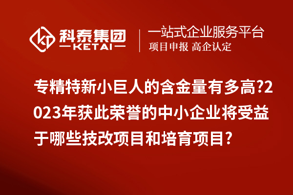 专精特新小巨人的含金量有多高?2023年获此荣誉的中小企业将受益于哪些技改项目和培育项目?