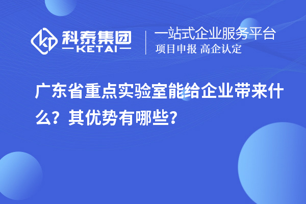 广东省重点实验室能给企业带来什么？其优势有哪些？