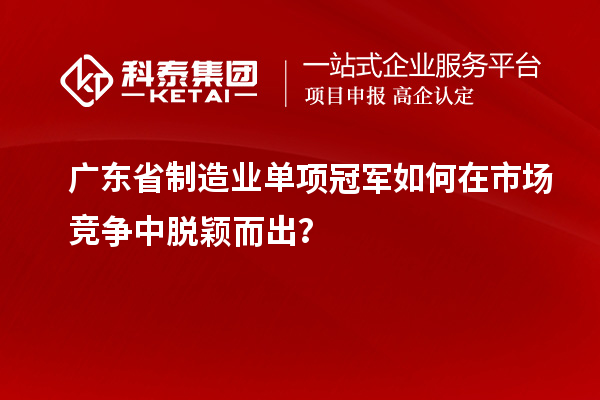 广东省制造业单项冠军如何在市场竞争中脱颖而出？