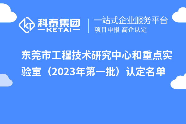 东莞市工程技术研究中心和重点实验室（2023年第一批）认定名单