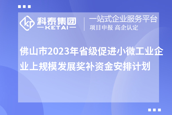 佛山市2023年省级促进小微工业企业上规模发展奖补资金安排计划