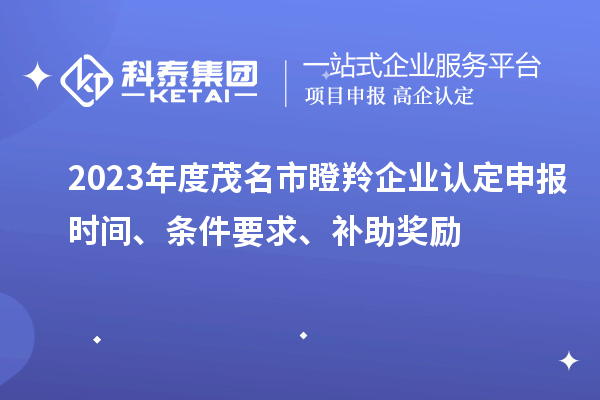 2023年度茂名市瞪羚企业认定申报时间、条件要求、补助奖励