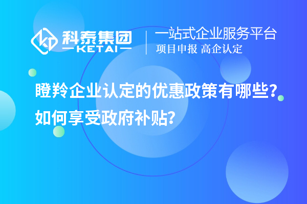 瞪羚企业认定的优惠政策有哪些？如何享受政府补贴？