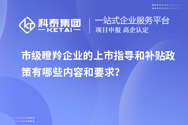 市级瞪羚企业的上市指导和补贴政策有哪些内容和要求？