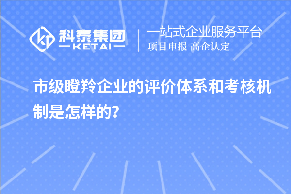 市级瞪羚企业的评价体系和考核机制是怎样的？