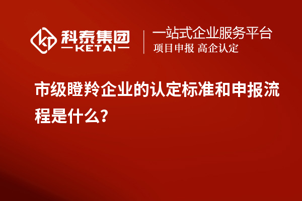 市级瞪羚企业的认定标准和申报流程是什么？