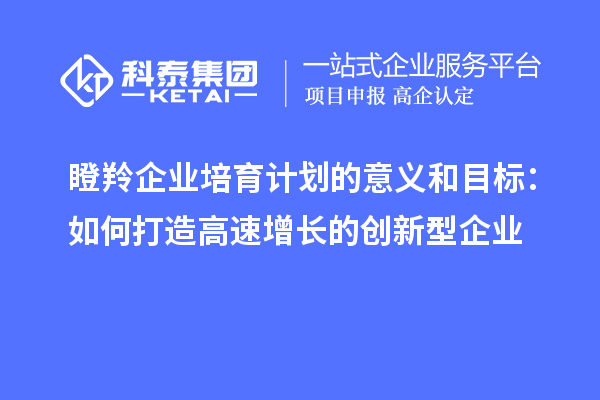 瞪羚企业培育计划的意义和目标：如何打造高速增长的创新型企业