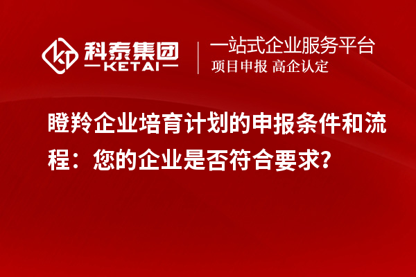 瞪羚企业培育计划的申报条件和流程：您的企业是否符合要求？