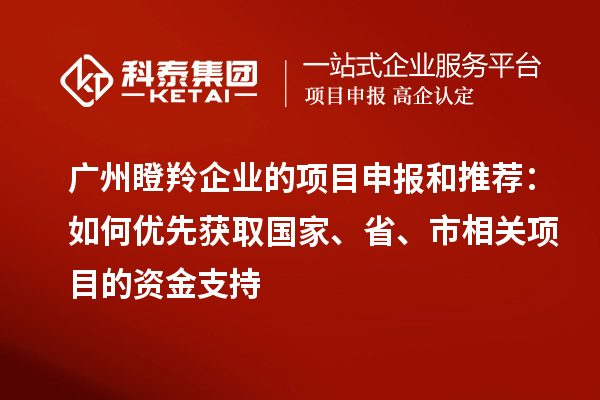 广州瞪羚企业的项目申报和推荐：如何优先获取国家、省、市相关项目的资金支持